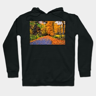 A Perfect Fall Afternoon Hoodie